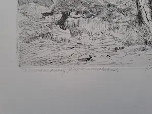 Theo Beerendonk - Duinlandschap kopen? Bied vanaf 25!