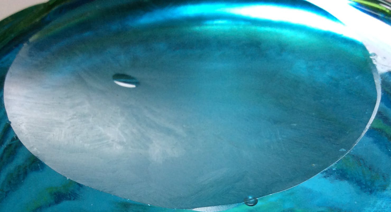 Venini - Fulvio Bianconi - blauwe vaas met groen glasdraad kopen? Bied vanaf 395!