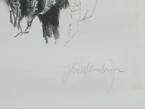 Jan Mensinga - Man met vier vogels - Litho kopen? Bied vanaf 1!