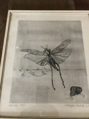 Marijke Hertog - Libelle kopen? Bied vanaf 40!