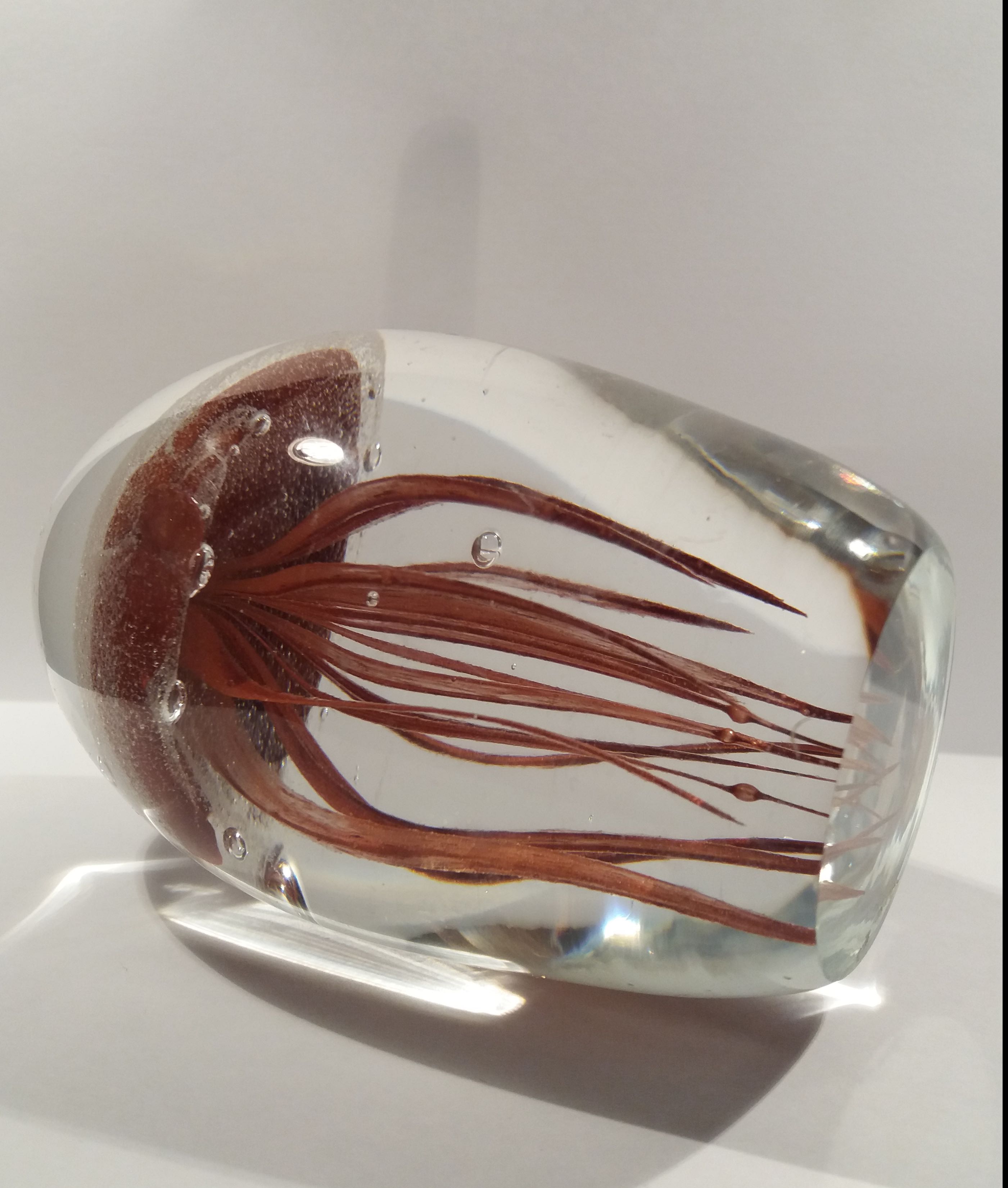 Niet of onleesbaar gesigneerd - 3D jellyfish Presse-papier Glow in the Dark kopen? Bied vanaf 1!