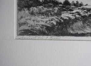 Frans IJserinkhuijsen - Avond in 't Gooi - ets - ingelijst kopen? Bied vanaf 40!