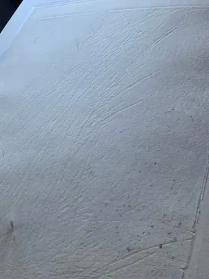 Margriet Westervaarder - Gras 5/30 kopen? Bied vanaf 50!