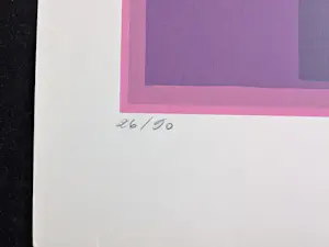 Renaat Ivens - compositie met roze kopen? Bied vanaf 95!