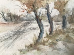 Joseph Jaspers - Bomen kopen? Bied vanaf 1!