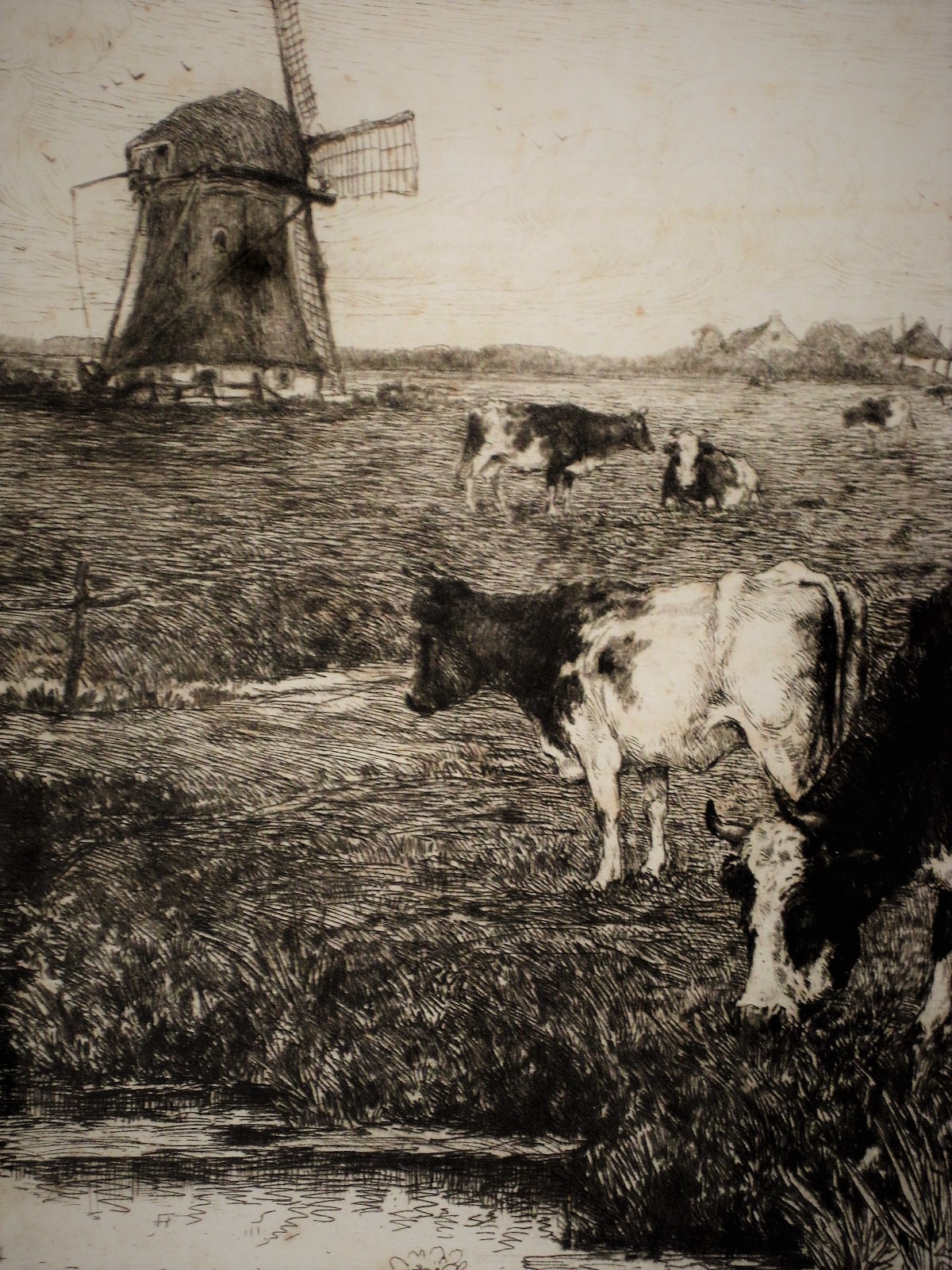 Jacob van Rossum - gesigneerde ets "Koeien en Molen in Polderlandschap" kopen? Bied vanaf 1!