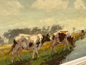 Fedor van Kregten - Koeien in een weiland kopen? Bied vanaf 1100!