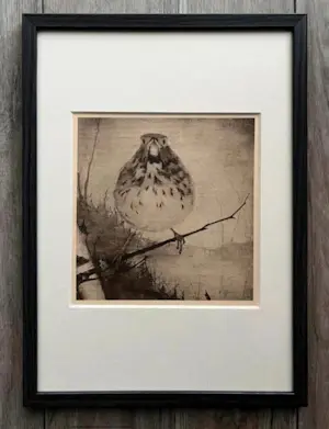 Jan Mankes - Originele Heliogravure Lijster op Tak 1923 kopen? Bied vanaf 195!