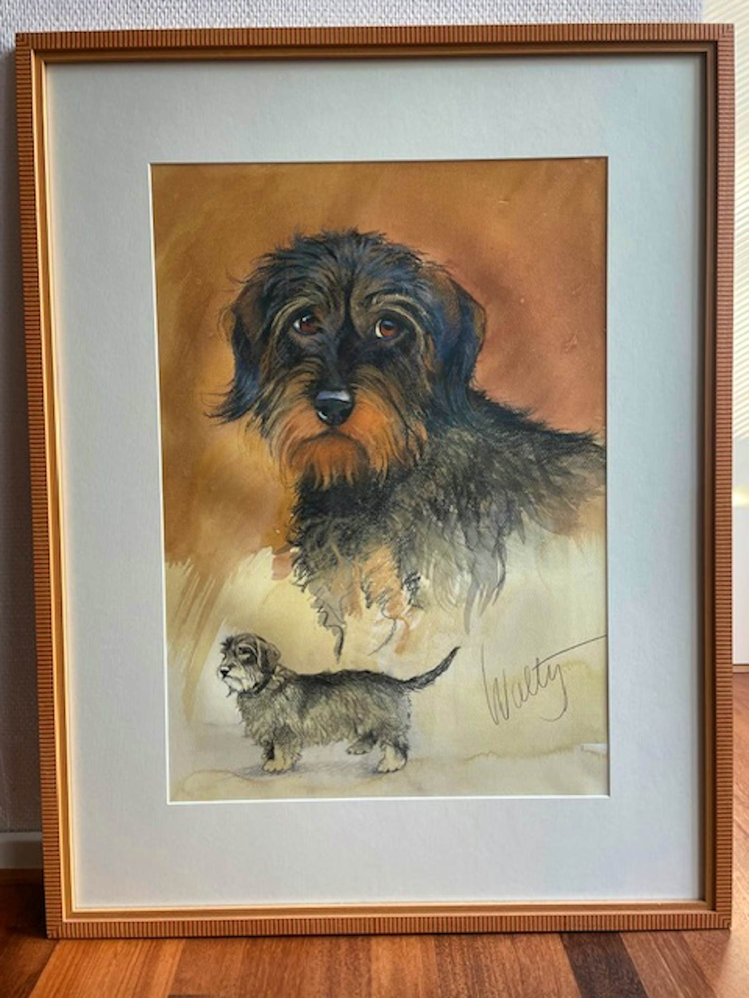 Walty Dudok van Heel - Teckel kopen? Bied vanaf 250!