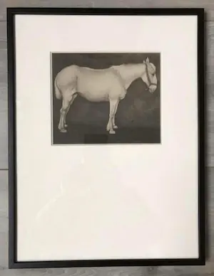 AcheterJan Mankes - Originele Heliogravure Wit Paard 1923? Enchérissez de 85!