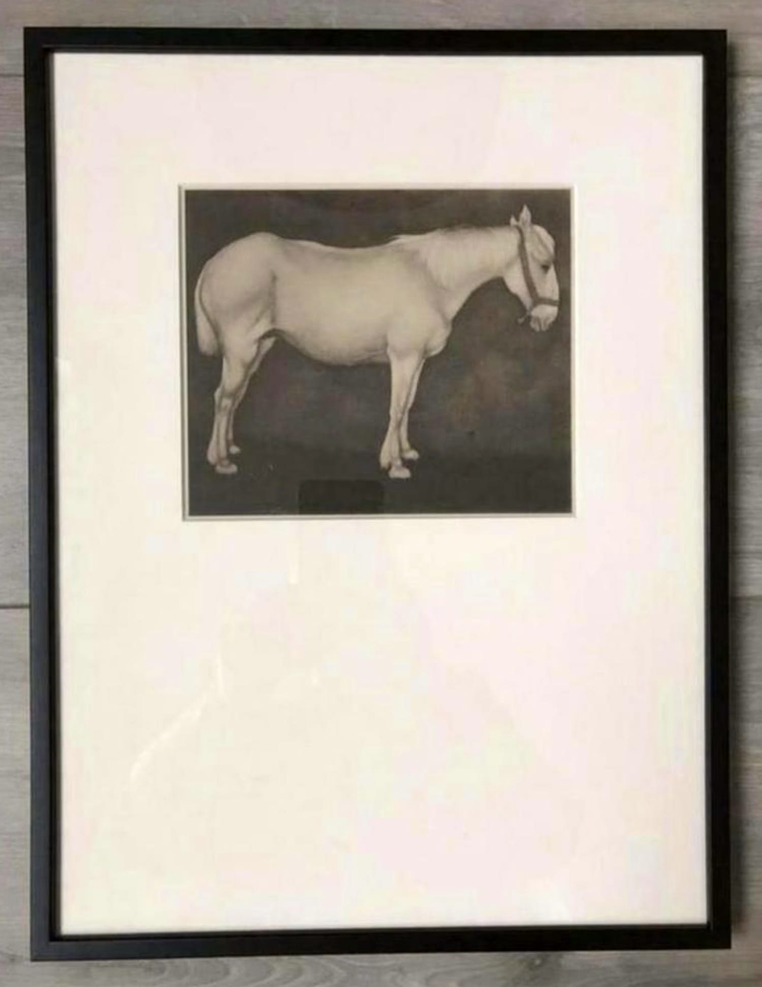 Jan Mankes - Originele Heliogravure Wit Paard 1923 kopen? Bied vanaf 85!