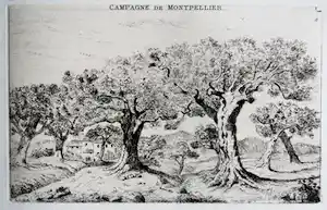 Louis Charles Hora Siccama - Campagne de Montpellier - ets verkauft für € 50!