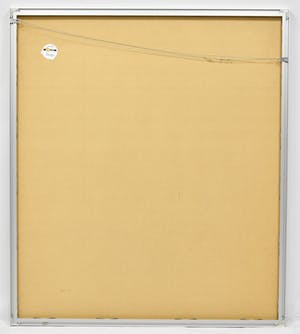 Bert Braam - Desira kopen? Bied vanaf 50!