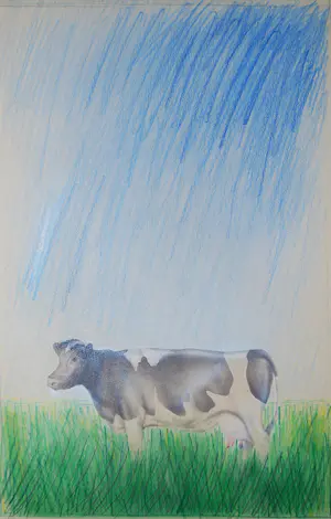 Kees Gerritse - Chère vache I, II, III - 3 potloodtekeningen - elk apart ingelijst kopen? Bied vanaf 395!