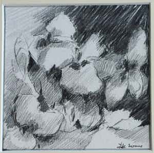 Fon Klement - Ingelijste tekening , Bloemstilleven 6 - 2000 verkocht voor € 50!