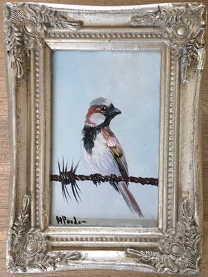 Henk Poeder - Huismus kopen? Bied vanaf 50!