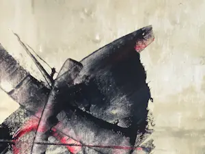 Parscha Mirghawameddin - Surfing kopen? Bied vanaf 75!