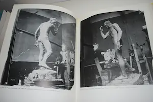 Auguste Rodin - Fotoregistratie (hardcover) & gids Burghers of Calais kopen? Bied vanaf 50!