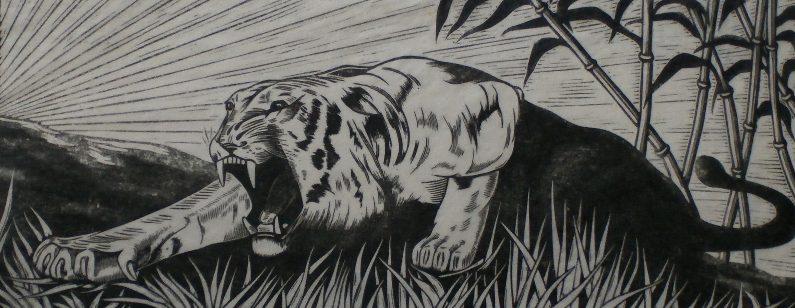 Jac. de Beer -  houtsnede - Tijger verkocht voor € 50!