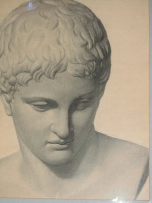 Cornelia Hioolen - Potloodtekening - Apollo kopen? Bied vanaf 50!