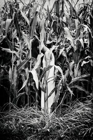 Erik Gigengack - 'lost', originele foto, nummer 1 uit serie van 10 kopen? Bied vanaf 1!