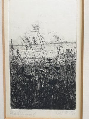 Theo Hoogewerf - z.t. | fraaie ets in houten lijst kopen? Bied vanaf 35!