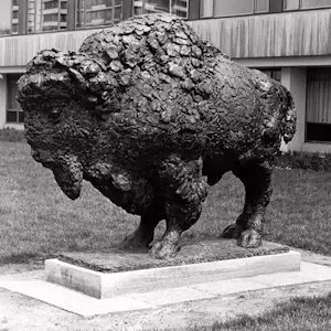 Pieter d' Hont - Bronzen beeld: 'bizon' - 1981 kopen? Bied vanaf 1500!