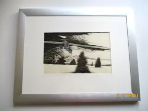 Ari Stolk - Vogel in vlucht (sperwer) kopen? Bied vanaf 45!