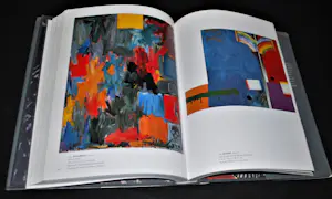 Jasper Johns - a Retrospective 1996 - uitgave MoMa - monumentaal - 408 pag. kopen? Bied vanaf 50!