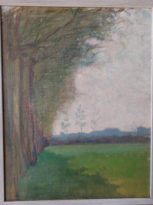 Frederika Broeksmit - Bomenrij kopen? Bied vanaf 40!