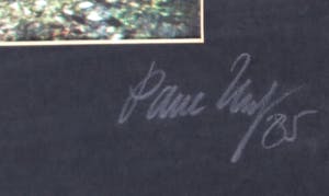 Paul Huf - Foto, Gorges d'Apremont bij Barbizon - Ingelijst kopen? Bied vanaf 1!