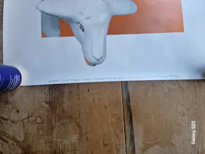 Marjolijn Mandersloot - Een Streep kopen? Bied vanaf 25!