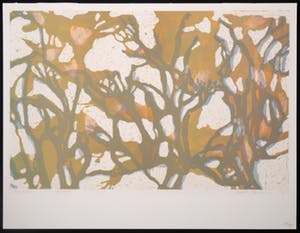 Judith ten Bosch - Litho, Groei kopen? Bied vanaf 1!