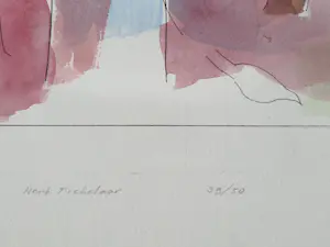 Henk Tichelaar - Grote, met ecoline gekleurde ETS "Bosprent" - kleine oplage (50) - gesigneerd kopen? Bied vanaf 38!