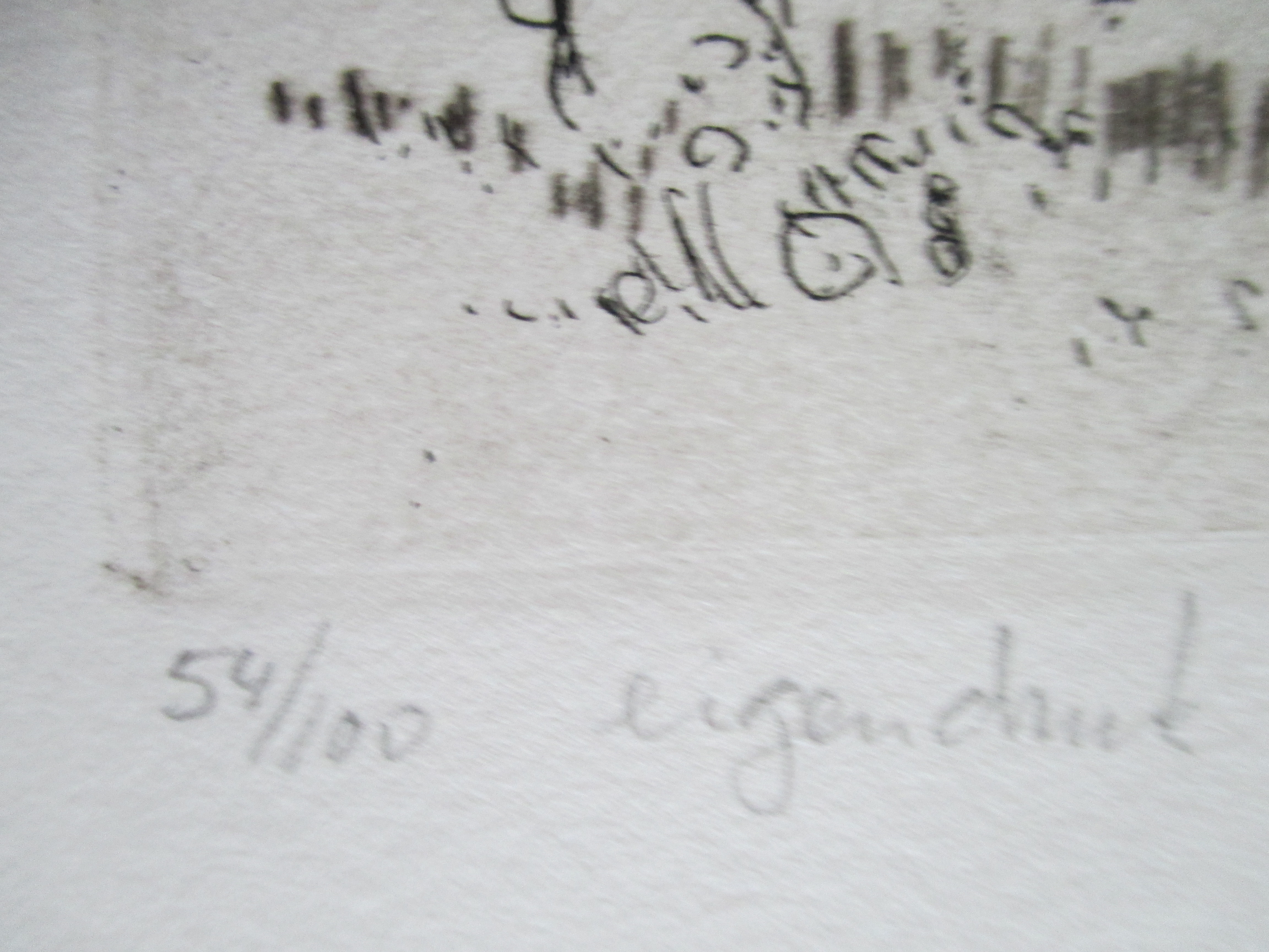 Theo van der Horst - Ets "een fijne wandeling" kopen? Bied vanaf 40!