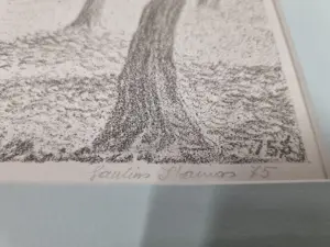 Saulius Ikamas - Vilnius Katedros Skveras kopen? Bied vanaf 20!