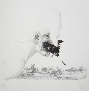 Peter Vos - Schiereiland Melancholie, litho kopen? Bied vanaf 75!