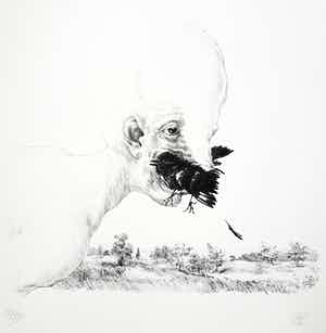 Peter Vos - Schiereiland Melancholie, litho verkocht voor € 75!