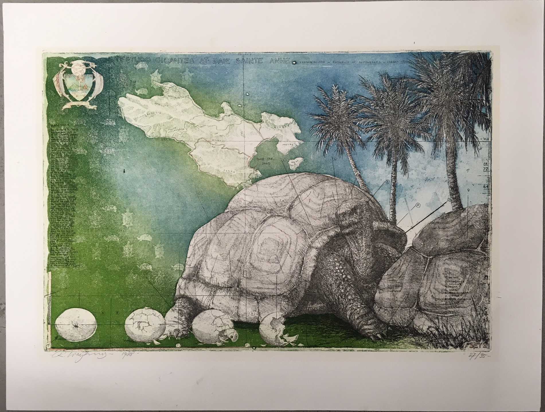 Rolf Weijburg - Ets en aquatint, Testudo gigantea at baie sainte anne  kopen? Bied vanaf 40!