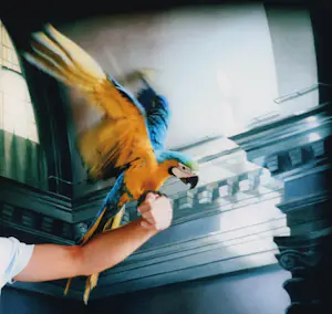 Max Kreijn - Venice - Leon with Maya 2 kopen? Bied vanaf 50!