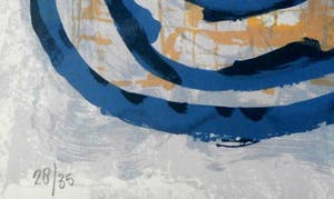 Bettina Lopetro - ingelijste zeefdruk: Birds - 1993 kopen? Bied vanaf 55!