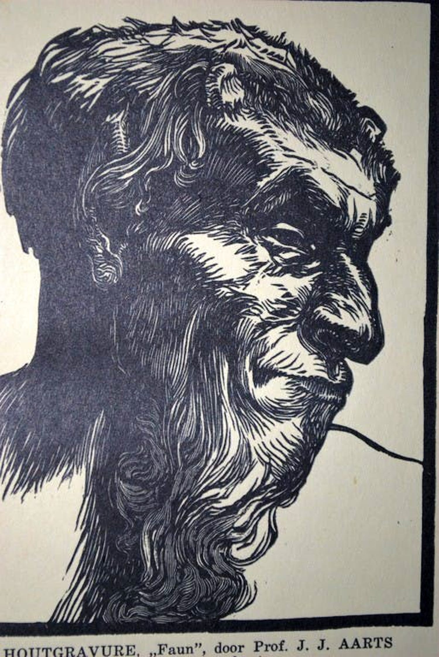 Johannes Josephus Aarts - houtgravure 'Faun' door prof.J.J.Aarts kopen? Bied vanaf 1!