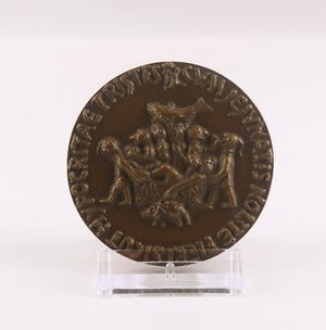 Niel Steenbergen - Bronzen penning, Carnaval kopen? Bied vanaf 90!