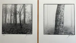 Ralph Janowski - 2x zeefdruk kopen? Bied vanaf 32!