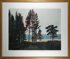 Vincent van Ojen - Houtsnede, Z.T. Bosgezicht met open plek - Ingelijst (Zeer groot) kopen? Bied vanaf 150!