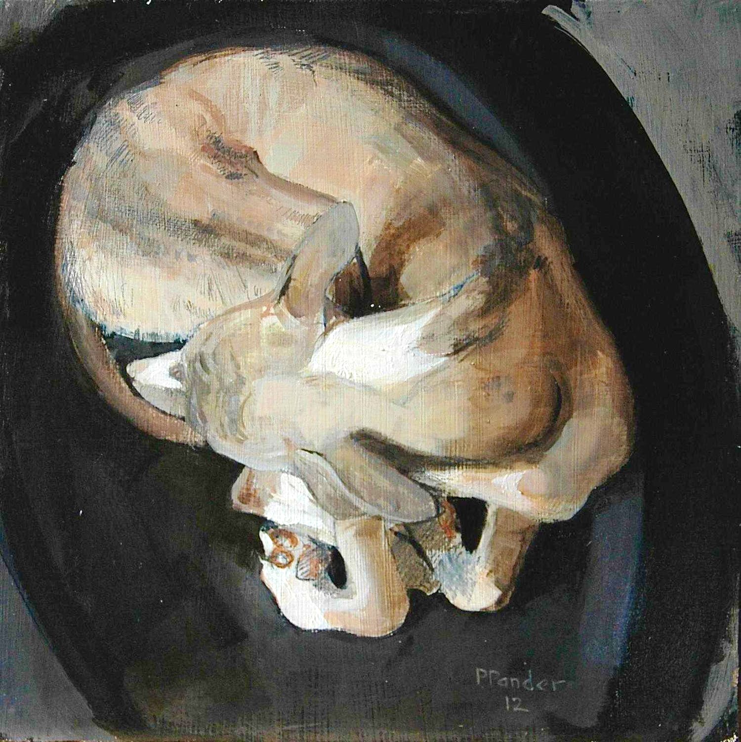 Pieter Pander - Slapend hondje "Bones" verkocht voor € 1050!