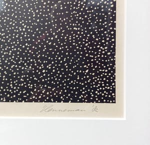 Jeroen Henneman - De Drukkerij, litho (netjes ingelijst, zeer beperkte oplage) kopen? Bied vanaf 395!