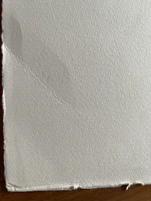 Jan Homan - FRIESLAND kopen? Bied vanaf 35!