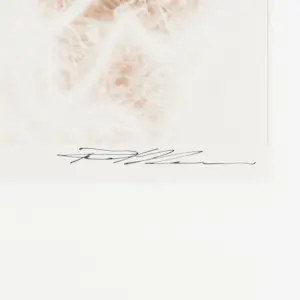 Paul Blanca - Doorman and Wife kopen? Bied vanaf 120!