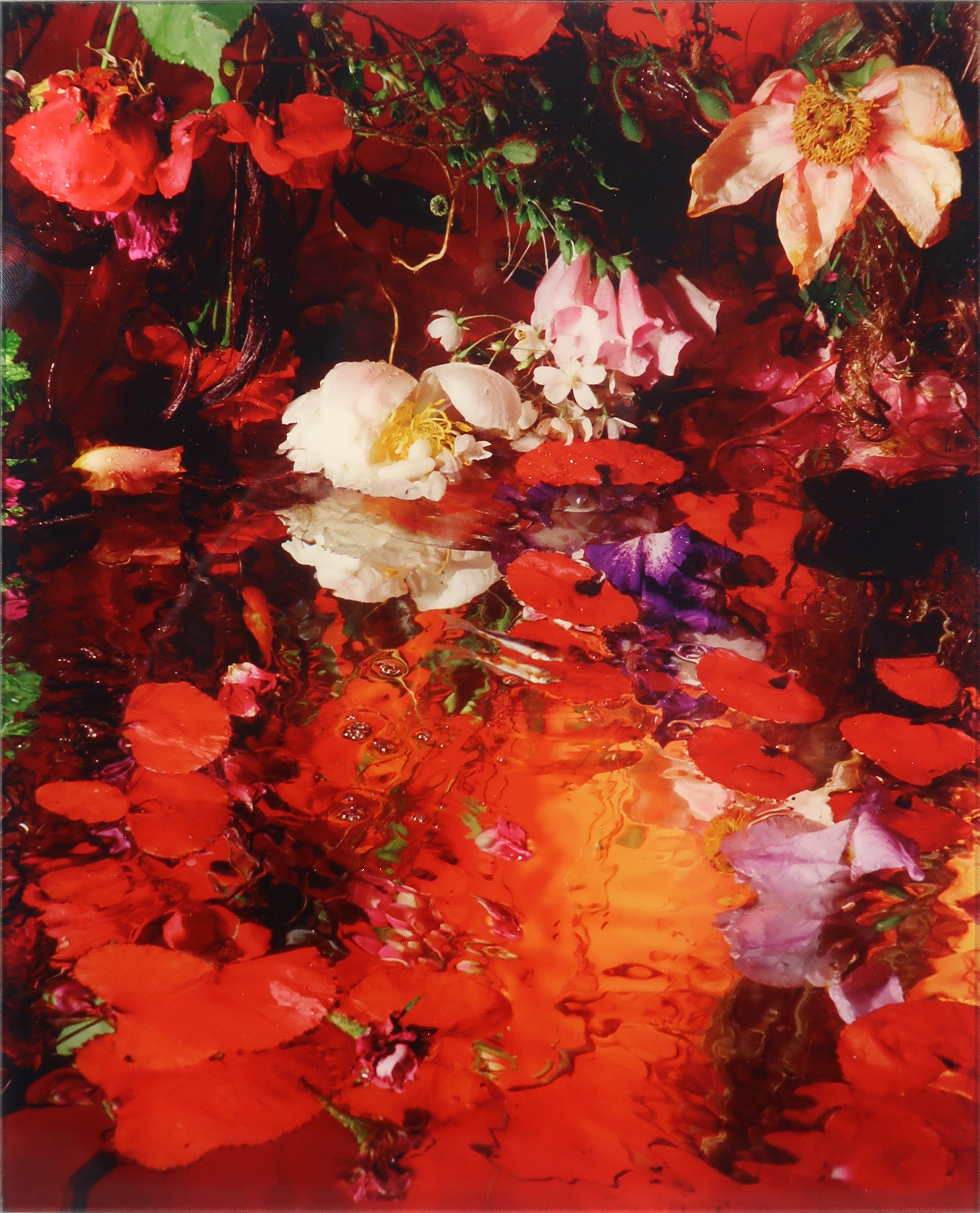 Margriet Smulders - C-Print op dibond, Get Drunk!, inclusief oeuvrecatalogus kopen? Bied vanaf 250!